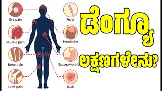 ಈ ಲಕ್ಷಣಗಳು ಕಂಡುಬಂದರೆ ತಕ್ಷಣ ಡೆಂಗ್ಯೂ ಟೆಸ್ಟ್ ಮಾಡಿಸಿ | Dengue Fever Symptoms and Treatment