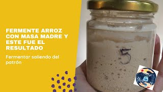 FERMENTAR ARROZ Y CUALQUIER CEREAL