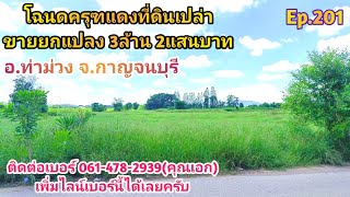 ❌ปิดการขาย❌   Ep.201 โฉนดครุฑแดงที่ดินเปล่า 9 ไร่ 81 ตรว. ขายยกแปลง 3ล้าน 2แสนบาท จ.กาญจนบุรี