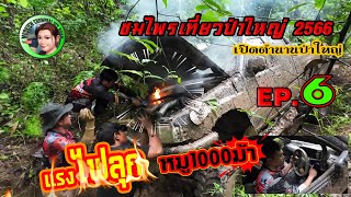 เปิดตำนานป่าใหญ่ |ชมไพรเที่ยวป่าใหญ่2566 |EP.6 แรงไฟลุก |4x4 off road  Thailand