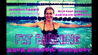 Fat Burning Aqua Aerobic Workout with Water Dumbbells and Pool Noodles