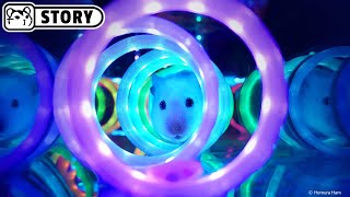 Neon Cube Hamster Maze 🐟 Aquarium and Minecraft 🐟 Homura Ham
