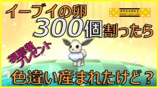 【ポケモン サンムーン】 色違いイーブイの国際孵化厳選！視聴者プレゼントします！【オタGAMES】