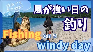 Fishing on a Windy day