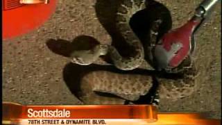 Valley firefighters learn to deal with scary critters