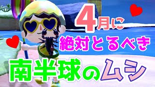 【あつ森】南半球の4月のムシ。今月でいなくなるサソリやオニヤンマがとてもレア！実際にとりながら解説！【あつまれどうぶつの森】