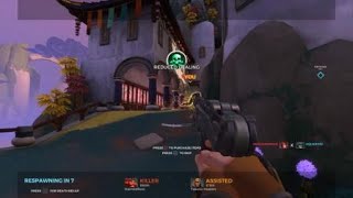 Paladins Hitboxes