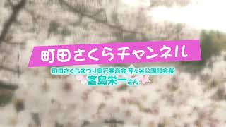 【町田さくらチャンネル】さくらステージ🌸町田さくらまつり実行委員会 芹ヶ谷公園部会長 宮島栄一さん