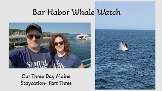 You Won't Believe What We Saw on Our Bar Harbor Whale Watch Adventure!