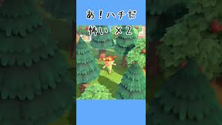 【あつ森】楽し過ぎるハチ回避法★☆★【走り幅跳び】で新記録？！？！ 蜂よ。かかってきなさい。 #shorts