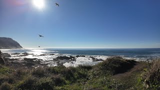 Sunny, Warm November day in Yachats, OR