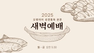 수지선한목자교회 | 20250205 오병이어 성경통독본문 새벽예배 🔴LIVE | 창세기 8-11장 | 김우진 목사