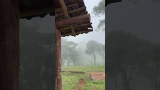 നെല്ലിയാമ്പതി  | Misty Valley Hill Resorts Nelliyampathy