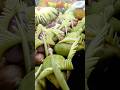 🥭 😳 Amazing Mango Cutting Skills #shorts #cutting #cuttingskills #cuttingfruit Green Mango #ytshorts