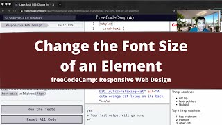 Change the Font Size of an Element (Basic CSS) freeCodeCamp tutorial