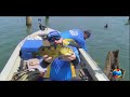 Programa Deconto Show de Pesca inédito 06-07-2024  -  