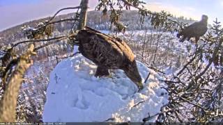 juras erglis 2016-01-23 12:37