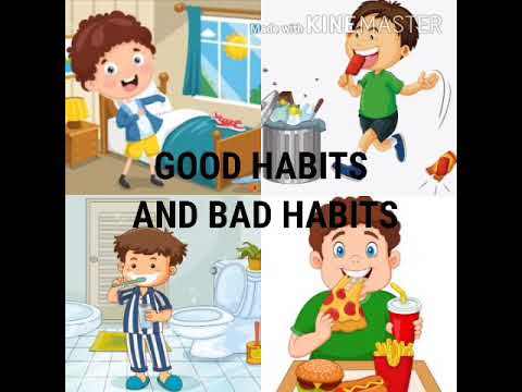 Good Habits, Bad Habits, Healthy Life, Learning, Interactive, Teaching ...