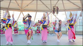 【テレビ中継！？】城西高校 阿波踊り2024 in アミコドーム【徳島県】