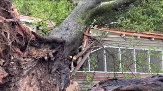 Severe storms bring damage to counties in East Alabama and West Georgia