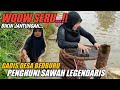 HEBOH..!! Gadis Desa Berburu Hewan Sawah Dapat Banyak, Langsung Dimasak || Girl Rural Life