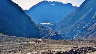 純淨紐西蘭南島慢遊13日~ (四)  Fox Glacier 福斯冰河谷輕健行