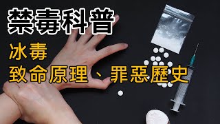 【禁毒科普】第一集：冰毒的致命原理、罪惡歷史