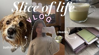 SLICE OF LIFE VLOG 𐙚₊˚relaxing \u0026 staying productive, puppy baths, making matcha🍵, and decluttering!