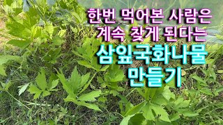 (삼잎국화나물/키다리나물) 혹시 삼잎국화를 알고 계신가요? 면역력 증진과 신진대사를 촉진해 준다는 삼잎국화나물 만들기