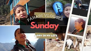 a day with me|| क्या आज animals मुझे support करेंगे?? #trending #vlog #pahadilifestyle #lifeofpahad