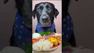 The daily life of my sweet dog #labradorretreiver #asmar #pets #funny #food #eatingsounds #eating