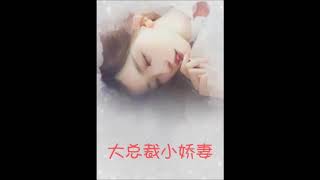 《大总裁 小娇妻》有声小说第258章 背叛