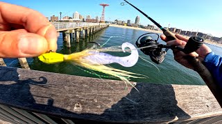 The Bucktail. Fluke Fishing (Summer Flounder) Coney Island Pier NYC