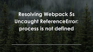 Resolving Webpack 5s Uncaught ReferenceError: process is not defined