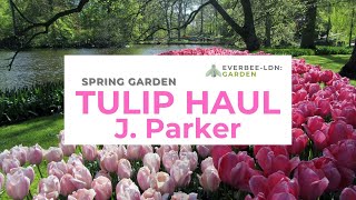 Spring Garden - Tulip Haul Look Book, part 1 - J. Parker | EVERBEE - Ldn: GARDEN