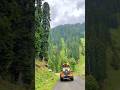 Beauty Of Kashmir Watch Till End ❤️ Nature Videos Of Kashmir #viral #nature #kashmir