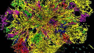 High speed Internet | Wikipedia audio article