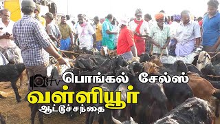 Vallioor Goat Market | attu santhai | வள்ளியூர் ஆட்டு சந்தை