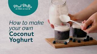 How to make Coconut Yoghurt with Mad Millie