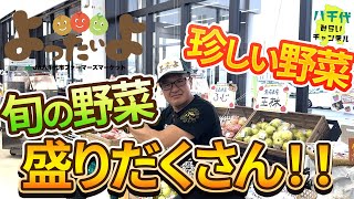 【秘蔵映像】やっぱり八千代～八千代市ファーマーズマーケット「よったいよ」を徹底紹介