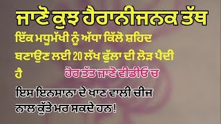 punjabi facts ।। ਹੈਰਾਨੀਜਨਕ ਤੱਥ।। ਸਿੱਖੋ ਸਾਰਾ ਕੁਝ ਪੰਜਾਬੀ ਚ