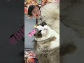 猫：妈妈酱这是个误会，你听我狡辩猫猫的心思全写在脸上了