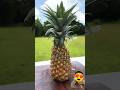 Fresh Pineapple Juice #shorts #youtubeshorts #viralvideo