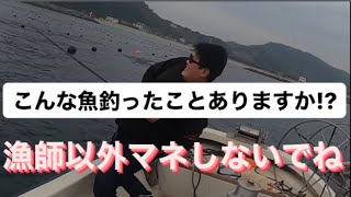 ⚠漁師以外、絶対に真似しないでください!!!!こんな魚、知っていますか??#釣り #fishing