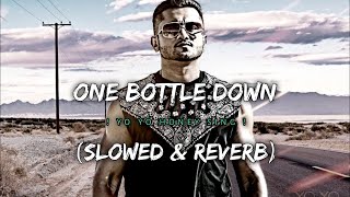 One Bottle Down(Slowed Reverb) | LOFI |  Yo Yo Honey Singh | Yo Yo Music Production