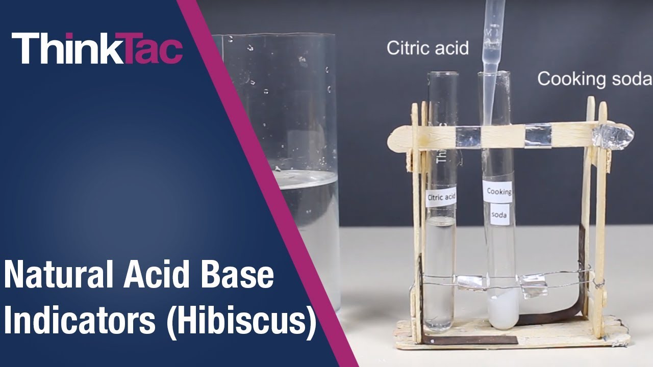 Natural Acid Base Indicators (Hibiscus) | Thinktac - YouTube