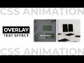 CSS Hover with Text Overlay Effect | CSS Animation Examples