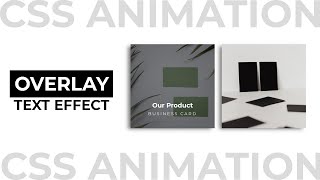 CSS Hover with Text Overlay Effect | CSS Animation Examples