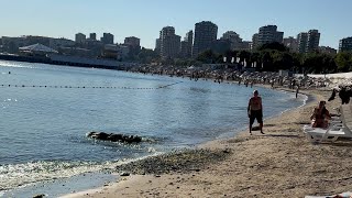 ⛱️ Cum arată o plajă din Istanbul Turcia în August? 🇹🇷(Caddebostan Plaji Kadikoy)