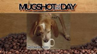 Mugshot of the Day - Tessa